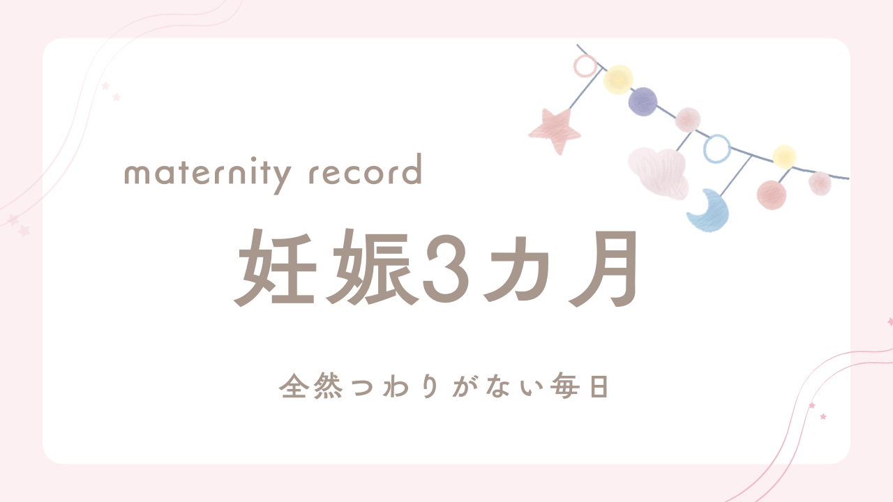 妊娠3カ月のマタニティ記録