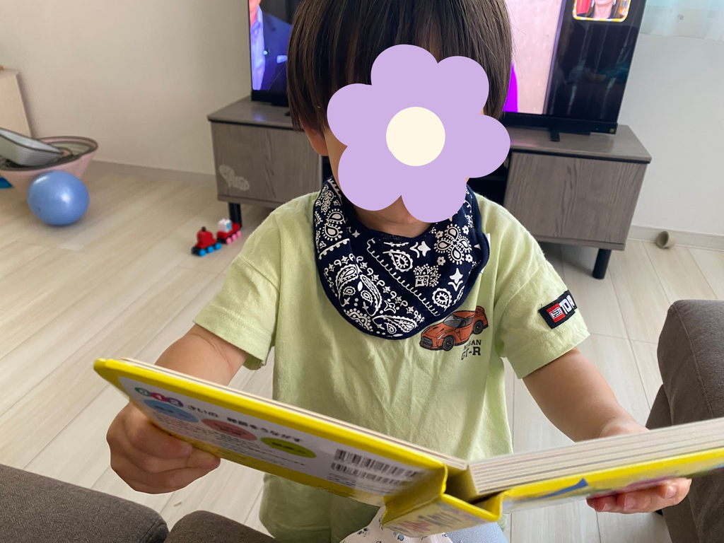 はじめてのことば100の絵本を見ている長男